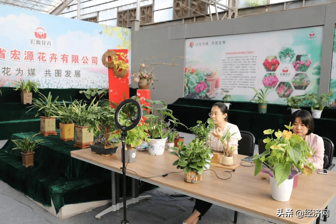 鲜花直播探索，如何通过直播平台提升花艺销售与品牌影响力？