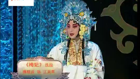 如意裸播，深度解析背后的策略与影响