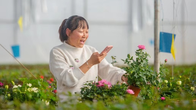 花儿直播如何引领互动娱乐新潮流？