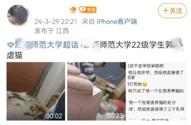 17淫播深度解析，如何理解这一现象及其对社会的影响？