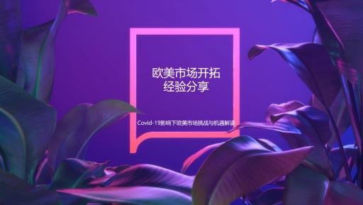 丽宫直播，揭秘幕后，您准备好探索了吗？