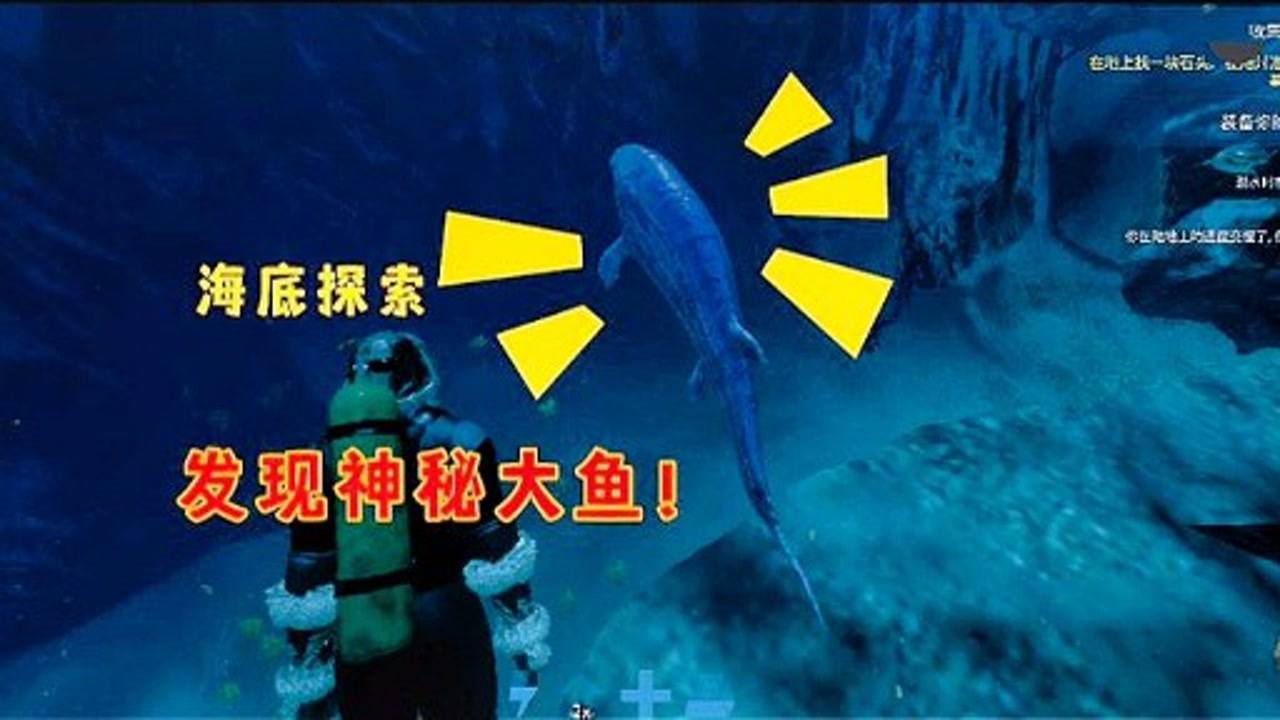 大鱼直播如何开启探索之旅，疑问与答案的交织