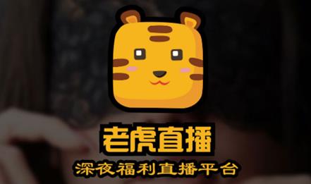 如何在深夜直播中吸引观众并保持他们的参与度？